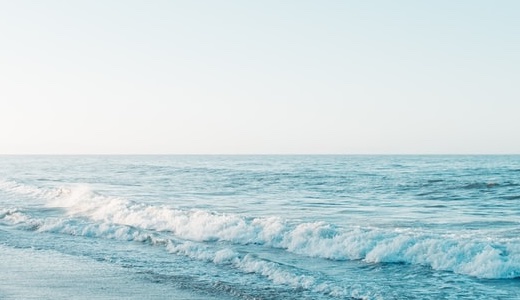 10月29日　食事管理