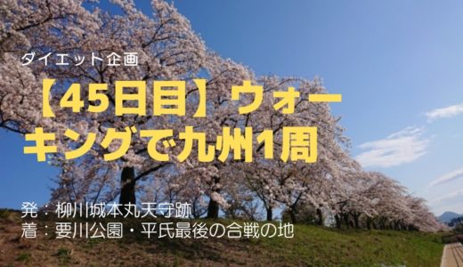 【45日目】源平の戦い最終決戦の地、要川公園を一望する平家一本桜に思わず舌鼓！圧巻の景色をご覧ください