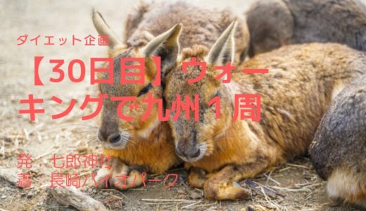 【30日目】動物と触れ合える自然動物公園、長崎バイオパークとはどんなところ？