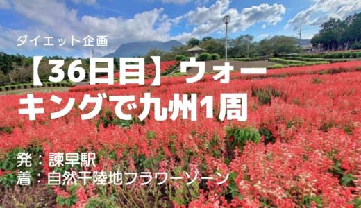 【36日目】辺り一面の秋桜にうっとり。諫早湾の干拓事業で作られた自然干陸地フラワーゾーン