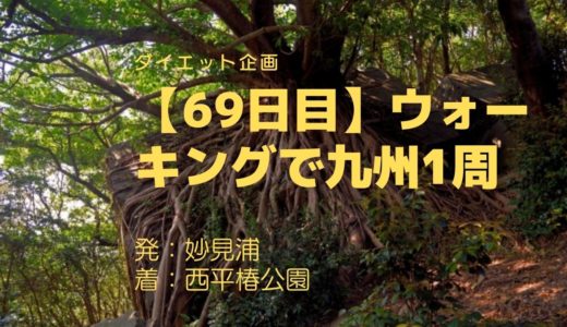 【69日目】ラピュタを彷彿とさせる、生命の神秘を感じさせるアコウの木、西平椿公園を訪れました