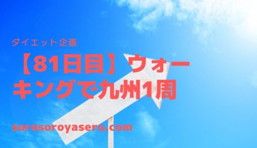 【途中経過】ウォーキング80日目達成！10日間毎の途中経過と考察
