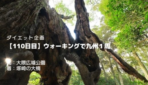 【110日目】武雄の三大楠のひとつ塚崎の大楠、樹齢３０００年の大木とは？