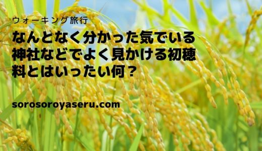 神社などで見かける初穂料って一体どんな意味がある？本当の意味を知った上でお守りを買ってみよう。